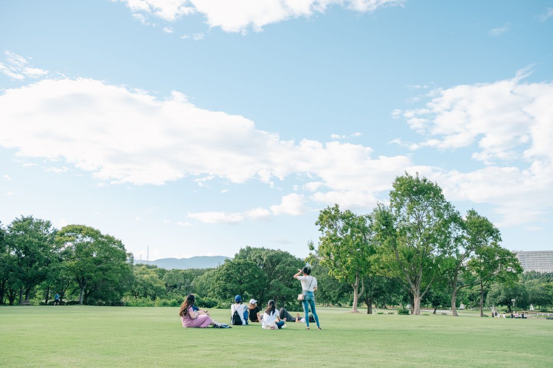 A small group of adults sits together on a wide open lawn in a park under a bright blue sky, trees lining the field.