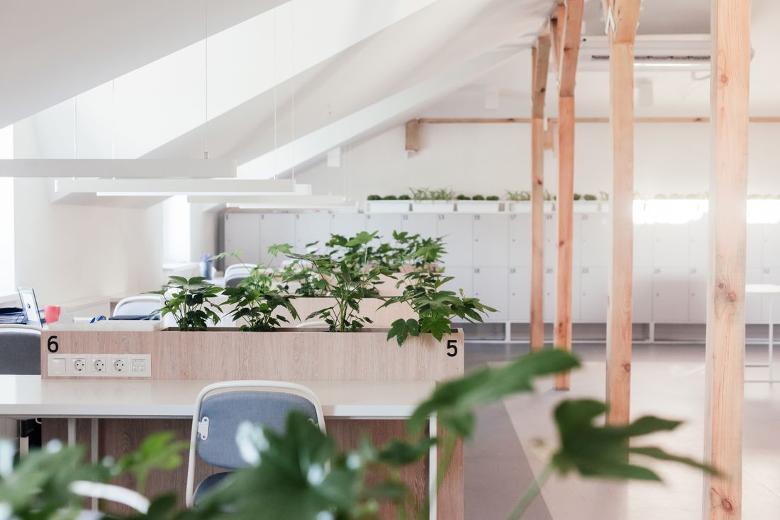 A bright, minimalist office space with natural light and a few indoor plants, mostly empty desks visible.