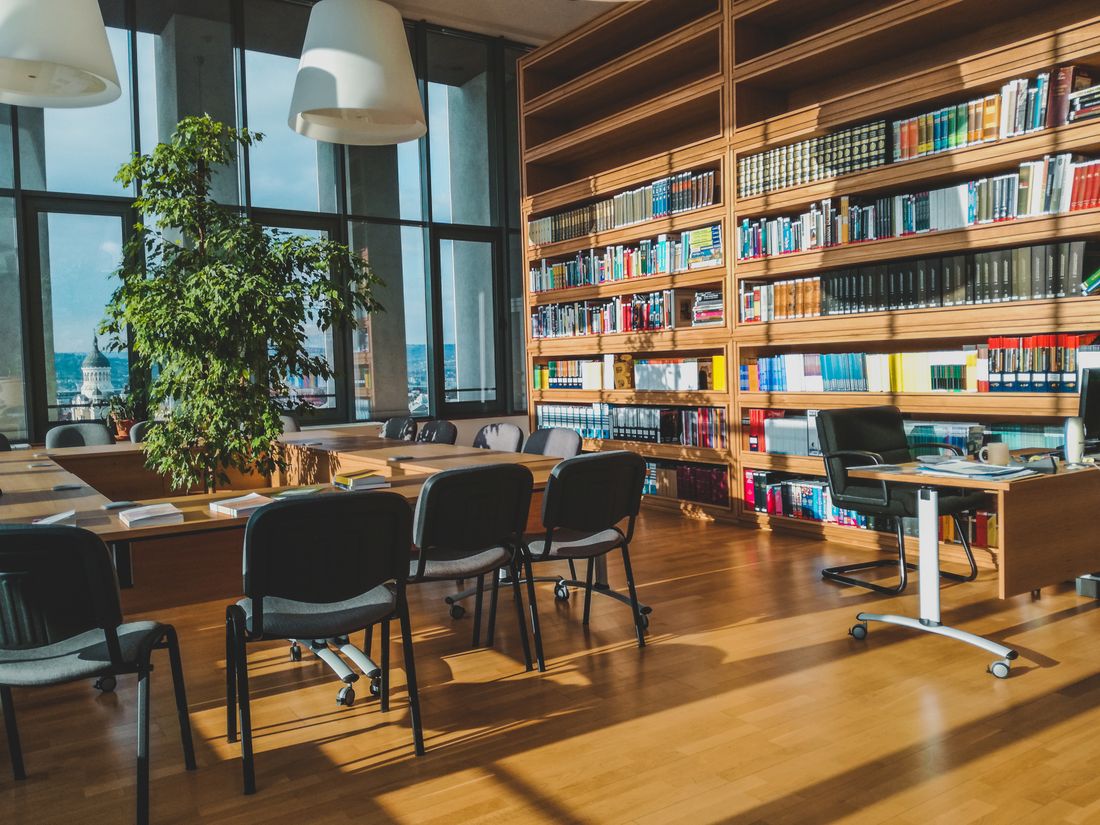 Sunlit private office library with tall wooden bookshelves, a wall of windows, and an empty conference table and chairs.