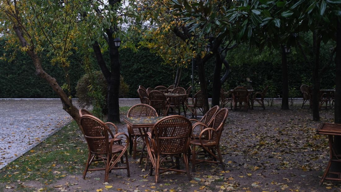 A garden set with wicker tables and chairs under trees, empty before guests arrive.