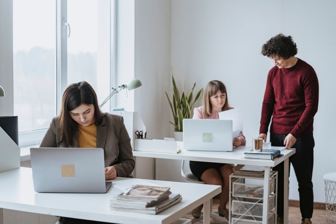 A small group of colleagues working together at laptops in a bright, plant-filled office