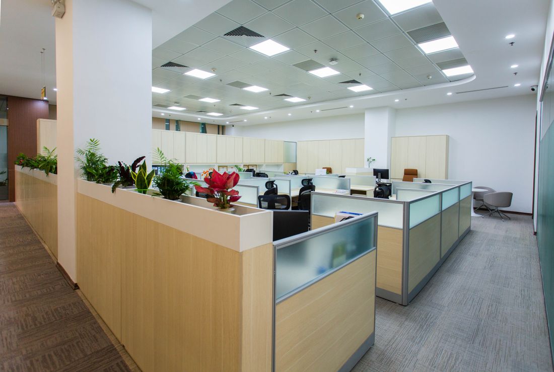 An empty modern open-plan office with cubicles, desks, and potted plants along a walkway, no people.