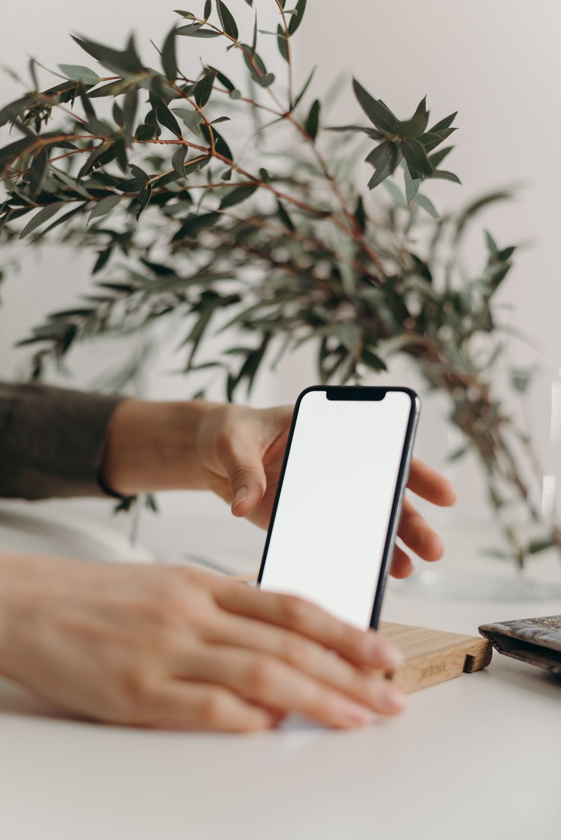 A hand holding a smartphone upright with a blank screen, framed vertically against a soft-focus plant.